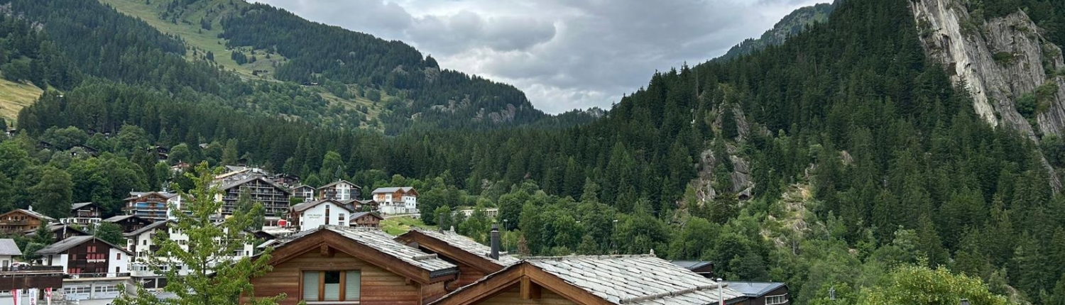 Mountain top views